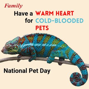 Have a Warm Heart for Cold-Blooded Pets - Family Media
